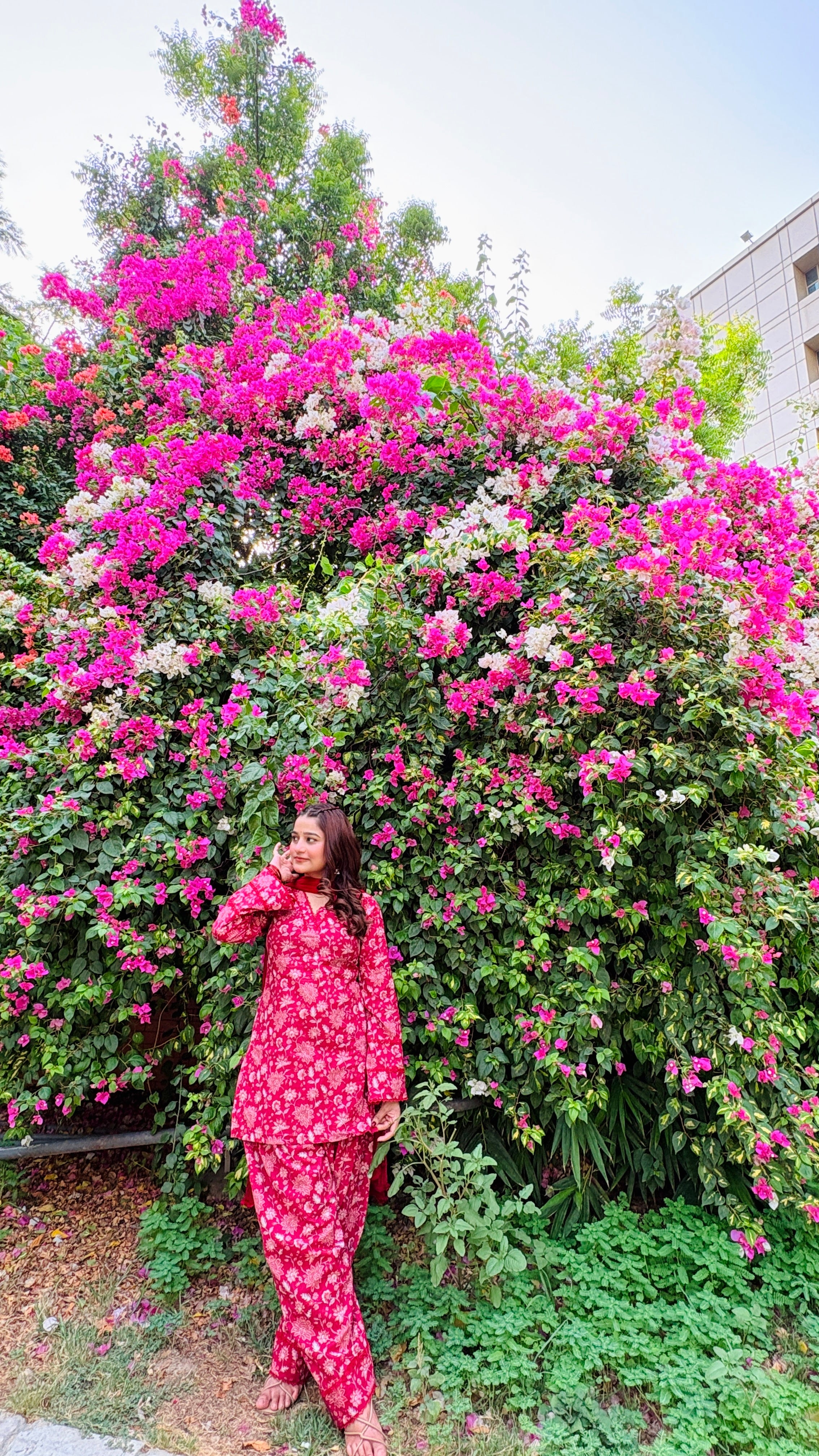 Rani pink farshi suit set